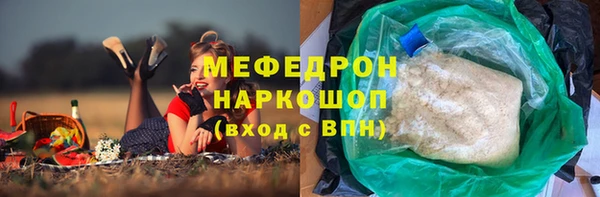 индика Туринск