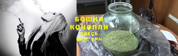 гидра Усмань