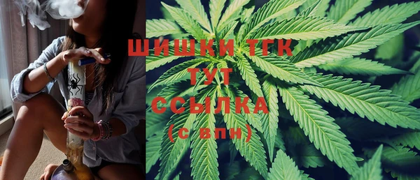 гидра Усмань