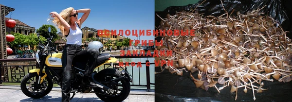 гидра Усмань