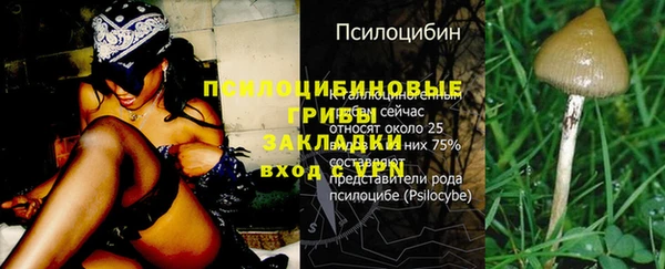 винт Усинск