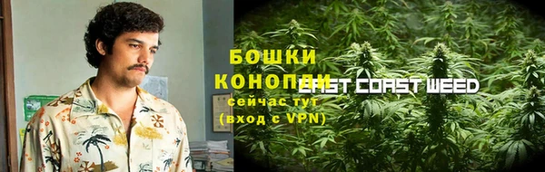 гидра Усмань