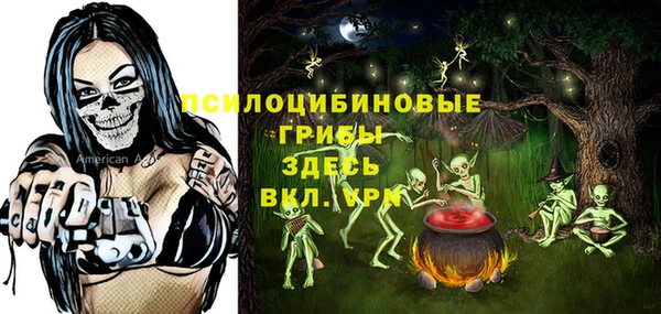 стафф Тында