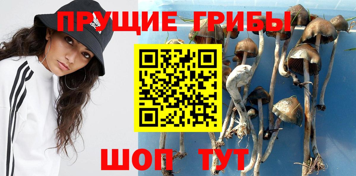 Армавир  Галлюциногенные грибы Psilocybe  Вход с VPN  Галлюциногенные грибы Cubensis 