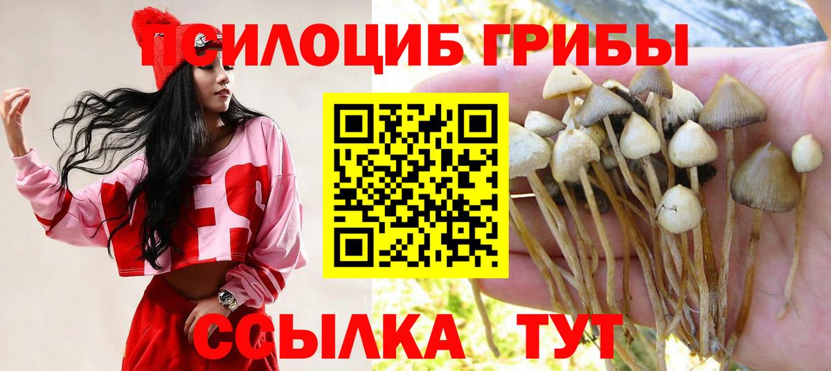 как найти закладки  Армавир  Галлюциногенные грибы MAGIC MUSHROOMS 